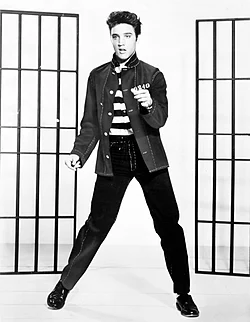 Elvis Presley The King of Rock N' Roll LOGO
