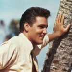 Elvis Presley Follow That Dream