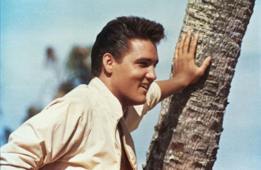 Elvis Presley Follow That Dream