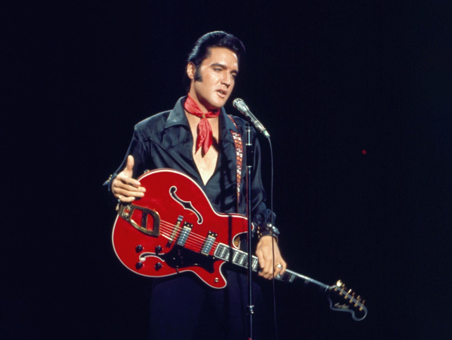 Elvis Presley The King of Rock N' Roll: Discover His Life and Legacy.